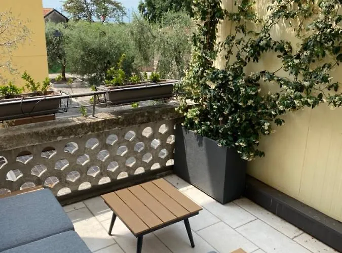 Junior Agli Archi * トッリ・デル・ベーナコ